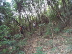 2007�~�p�Q�s�Y�Q�� 027
