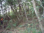 2007�~�p�Q�s�Y�Q�� 028
