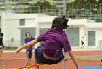 DSCF2617