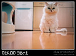 F1070019