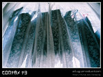 F1040035