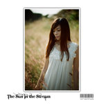 TSITS Yu 2010 (3)