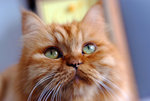 DSCF4159_s