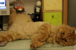 _MG_2696s
