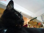 DSC00030