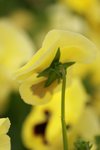 IMG_5610