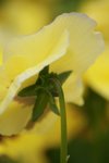 IMG_5612