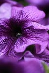 IMG_5615