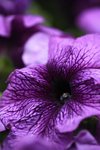 IMG_5616