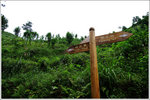 100930 guilin 013