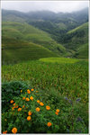 100930 guilin 016