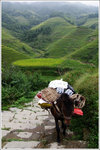 100930 guilin 017