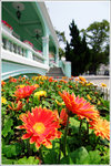 110403 macau 016