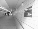 IMG_0704