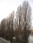IMG_3549