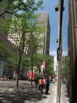 IMG_5320