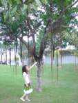 DSC04333