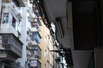 DSC_0828