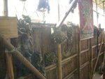 DSCN6359