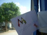 DSCN6521