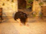 DSCN8104