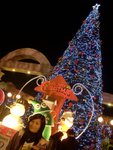 DSCN8583
