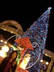 DSCN8584