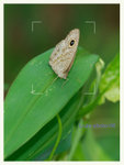 CSY_1798