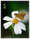 CSY_1809