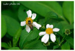 CSY_1825