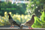 �O�n,�ڰ��M�ƨ�a