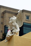 DSC_6164