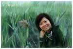 CSY_0200