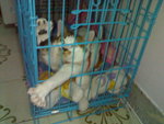 20070415044