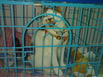 20070415051