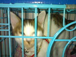 20070415052