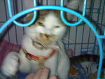 20070415054