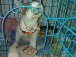 20070415055