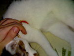 20070415057