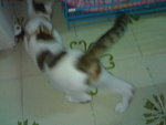 20070415058