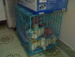 20070415059