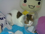 20070603090