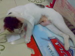 20070603710
