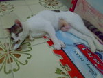 20070603711