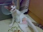 20070603712