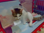 20070603716