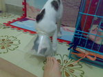 20070603724
