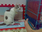 20070603732