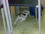 20070712955