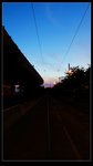 DSCF8578